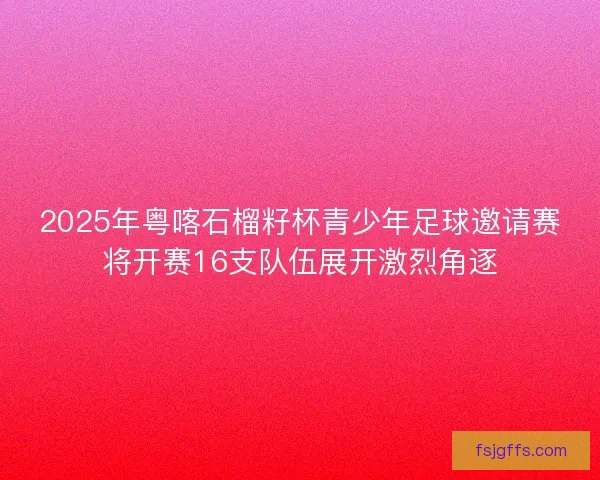 2025年粤喀石榴籽杯青少年足球邀请赛将开赛16支队伍展开激烈角逐